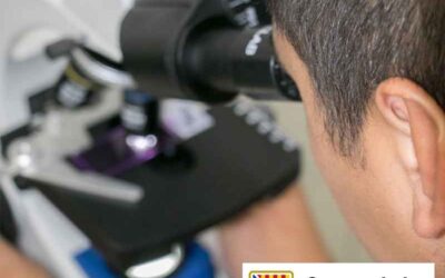 Nuevas oposiciones para Técnico Superior Especialista en Anatomía Patológica en Baleares – prepara tu plaza con Aulamed